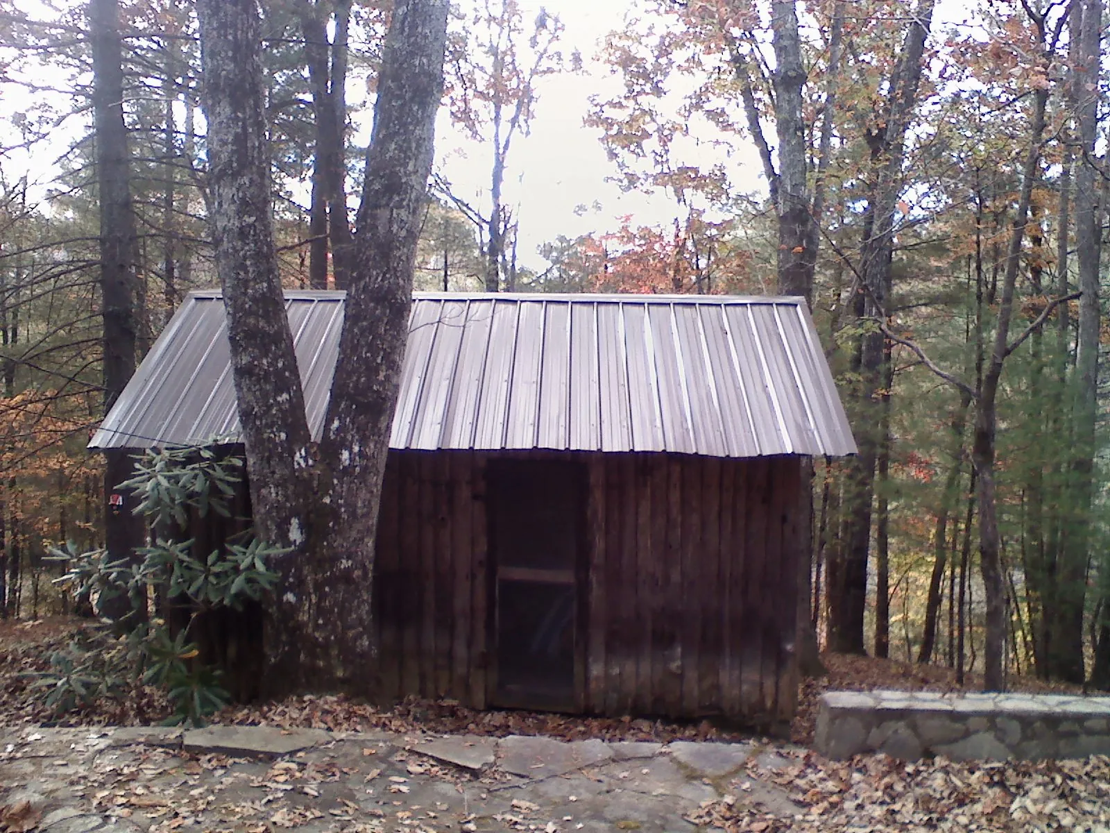 New metal gable roof on a small log shed among the trees in Roslindale